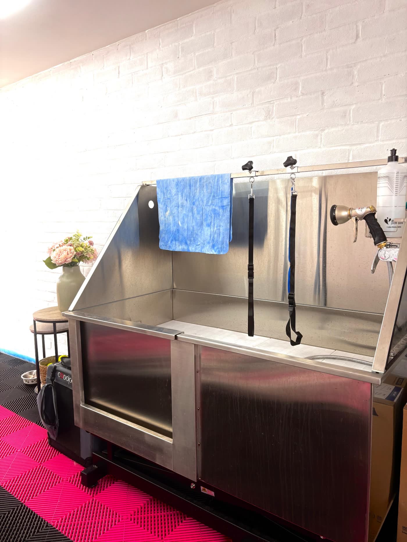 Ivory Tails professional stainless steel dog bathing station in the Farnborough salon