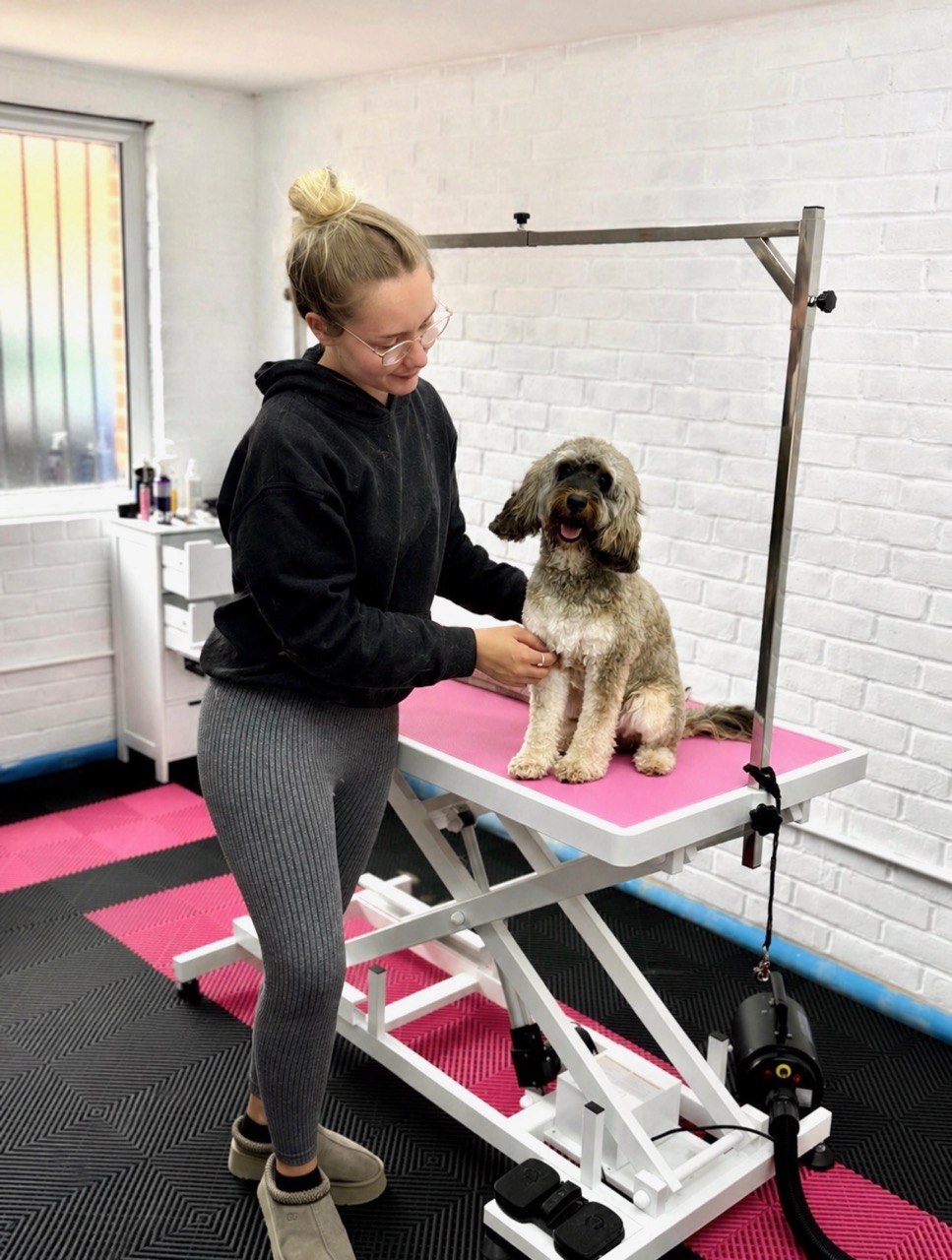 Maia gently grooming a dog inside the Ivory Tails home salon in Farnborough