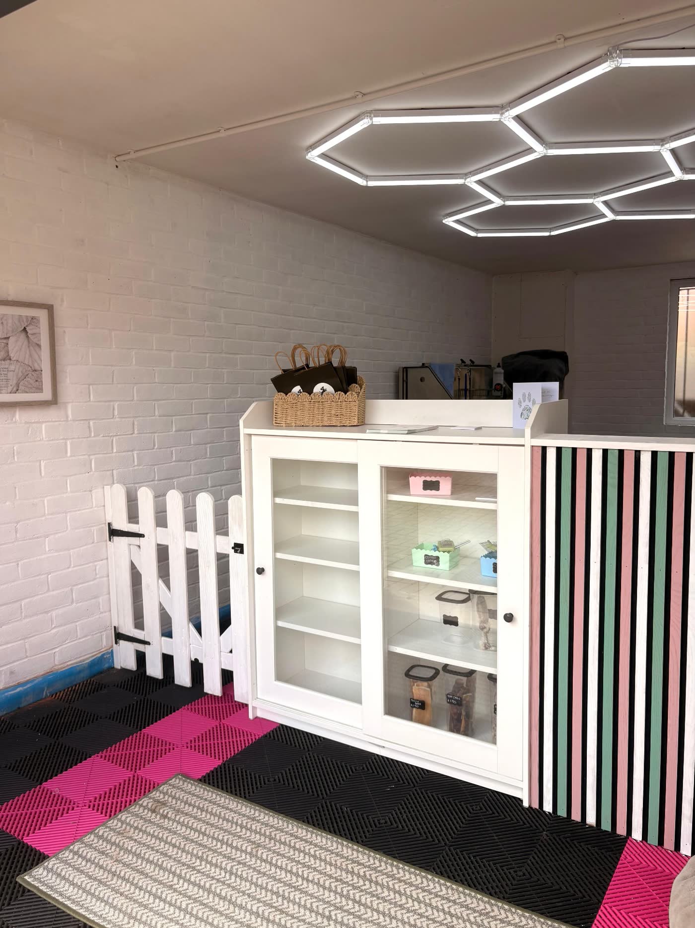 Ivory Tails salon reception and retail display with treats, grooming products and the sage and blush striped counter