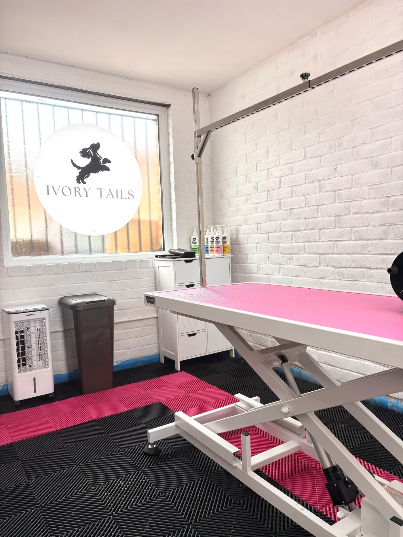 Ivory Tails professional dog grooming salon in Farnborough — pink grooming table beneath hexagon studio lighting, with the branded Ivory Tails window logo